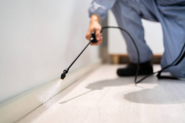 Licensed Termite Control service in Gilroy, CA - Nex Pest Control