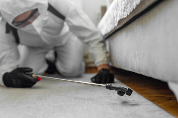 Professional Termite Control technician working in Gilroy, CA