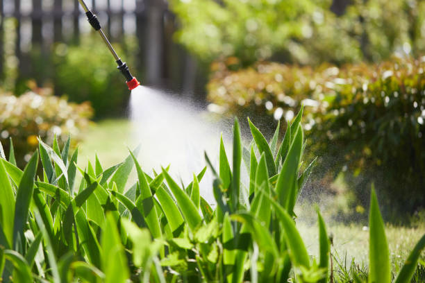 24/7 Emergency Termite Control experts in Gilroy, CA